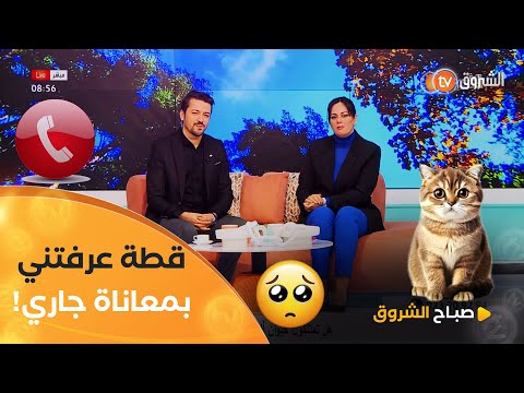 مٌتصلة تروي قصة مؤثرة جدًا 🥹🥲 .."كي ربيت قطة 🐈 خلاتني نحس بمعاناة جيراني" 😨🥲