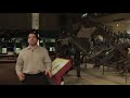Dinosaur Movement and Adaptations
