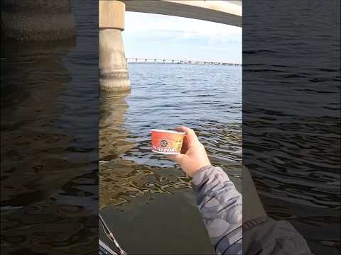 NOBODY Uses THIS Bait in SALTWATER!!
