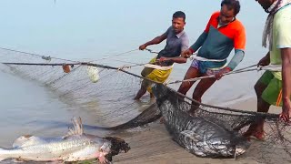 Amazing!! Net Fishing Video 2025 ll Big Fish Catching Using by Net in The Beautiful River