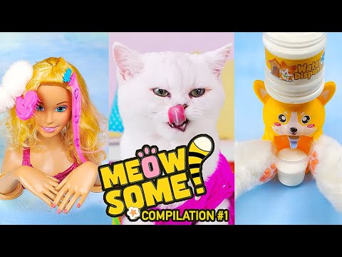 Membuka Kotak Pembuat Gelembung Si Bocah Kentut oleh Kucing Lucu | ASMR #meowsome #asmr #unboxing