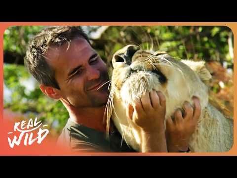 The Lion Whisperer: The Incredible Bond Between Man and Africa's Apex Predators