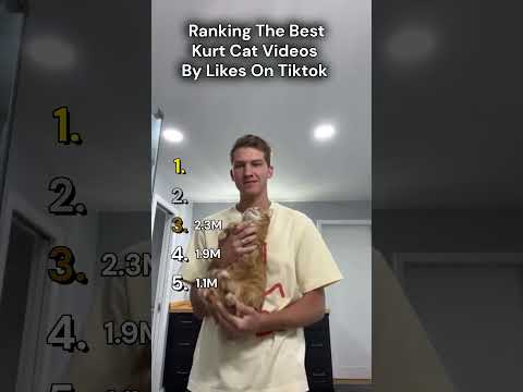 Ranking The Best Kurt Cat Videos By Likes On Tiktok​