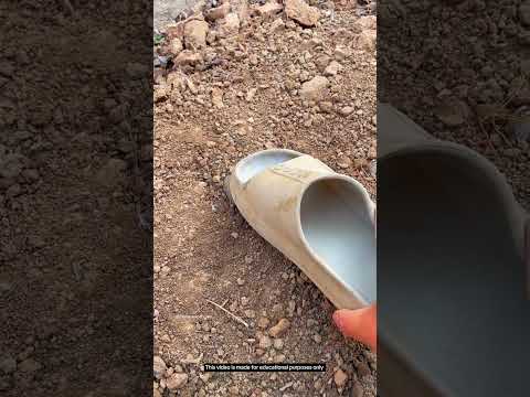 Man Accident See Cobra Snake. #shorts
