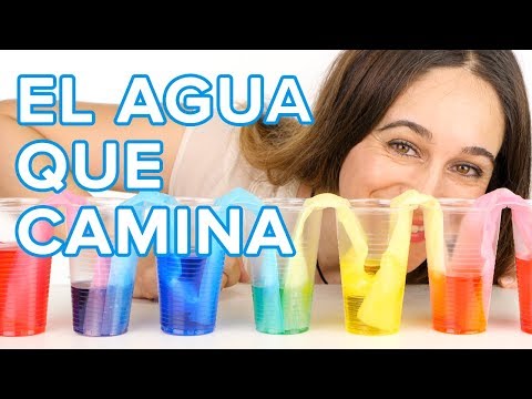 El agua que camina | Experimento con colores para niños 🌈