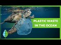 Exploring Causes and Solutions of Ocean Plastic Pollution