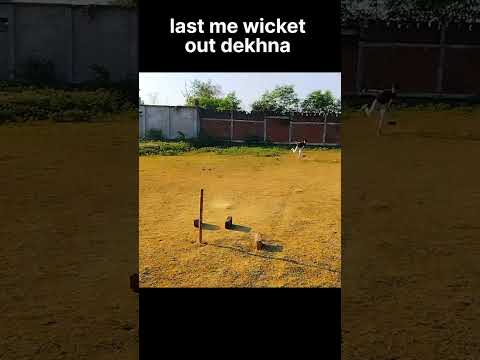 SAFAR ❤️ #evolution_of_my_bowling #cricket #gully_cricket @CricketWithVishal