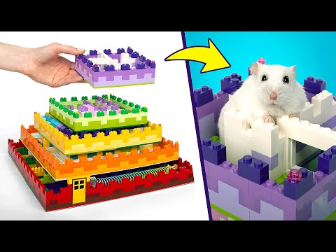 LIVE: Most Amazing Crafts For Your Pet Rats & Hamsters 🐹🐭