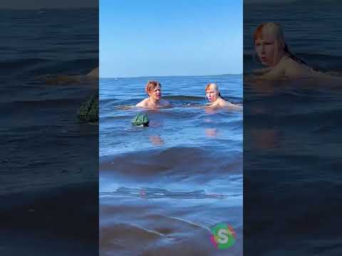 Pegadinha do jacaré 🐊😱 Você não vai ver chegando!