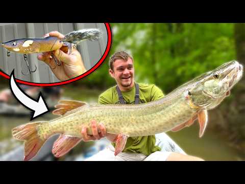 Can I Catch a Fish on a Giant Squirrel Lure?