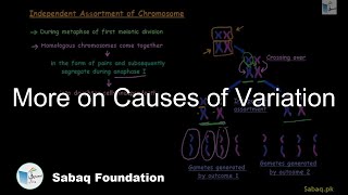 More on Causes of Variation