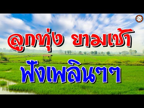 ลูกทุ่งยามเช้า ฟังเพลินๆๆ เพลงเพราะฟังไม่มีเบื่อ #โดนตลอด #สวยครบสูตร #เสี่ยงรักลอยกระทง | ปัน