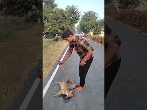 Duniya ke musafir ?#emotional #shorts #viral