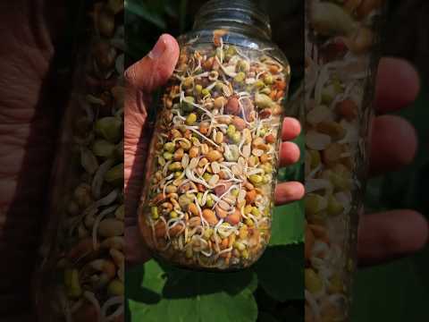 മുളപ്പിച്ച തോരൻ #shorts #farming #cooking #vegetables #malayalam