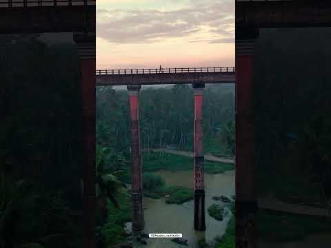 🍃#explore #travel #instagram #nature #viralvideo #kerala #keralatourism #explorepage #reels