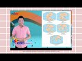Evidence for Continental Drift
