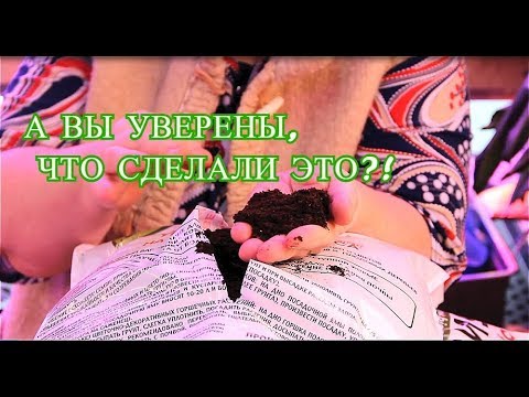 А ВЫ УВЕРЕНЫ, ЧТО СДЕЛАЛИ ЭТО? ВАЖНЫЕ ШАГИ ПРИ ПОДГОТОВКЕ К ПОСАДОЧНОМУ СЕЗОНУ.