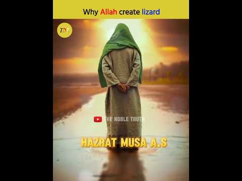 Why Allah create lizard🦎#shorts #thenobletruth