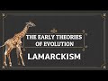 Lamarck's Theory of Evolution