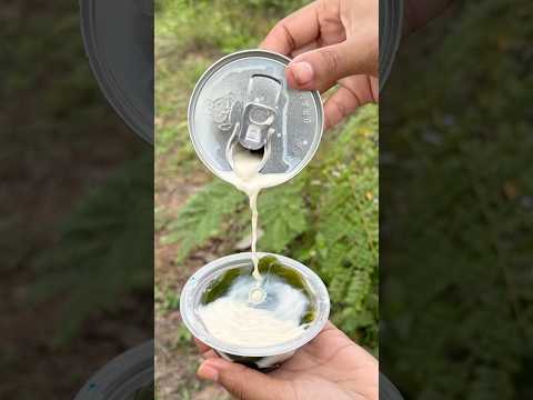 Survival Skills: SMART idea and USEFUL in Forest #bushcraft #camping #outdoors #ideas #useful