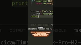 What does the filter function do in Python?