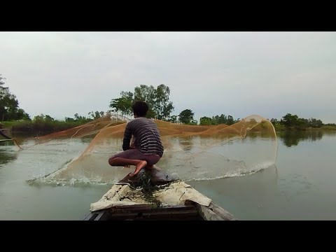 Cast Net Fishing  Fisherman vs River Catch Netting Fish