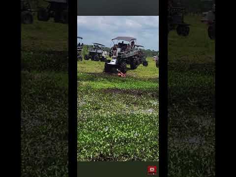Joe Biden falls off a swamp buggy #donaldtrump #funny