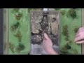 Storm Water Management and Pollution Control