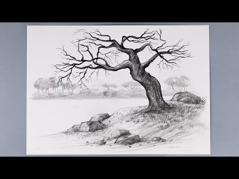 How to Draw a Landscape / Pencil Drawing