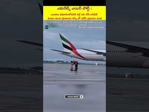 Emirates airport staff catch a rat which was on runway #shortsfeed #shorts #viral #trending