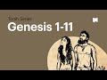 Biblical Concepts and Stories