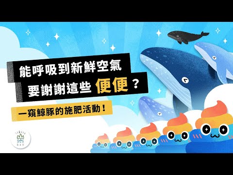 你能呼吸到新鮮空氣，得謝謝鯨豚的便便？｜黑潮海洋文教基金會 X  臺灣吧 Taiwan Bar - YouTube(3分32秒)