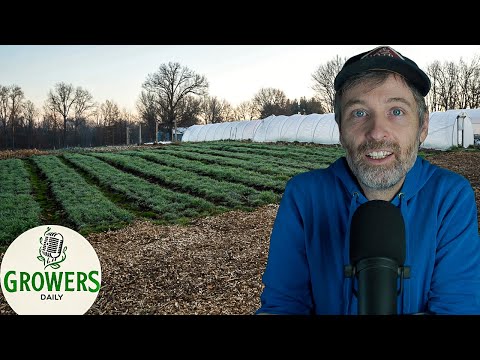 Making Money from Cover Crops? + It's Feedback Friday!