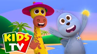 El Reino Zoo 5  A Girafa e a Foca | Rima Divertida para Crianças