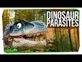 SciShow News: Bugs, Brains, and Dinosaurs