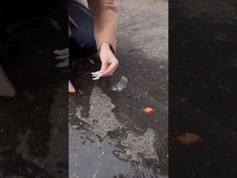 Bu yaratıcı lastik hilelerine bir göz atın!