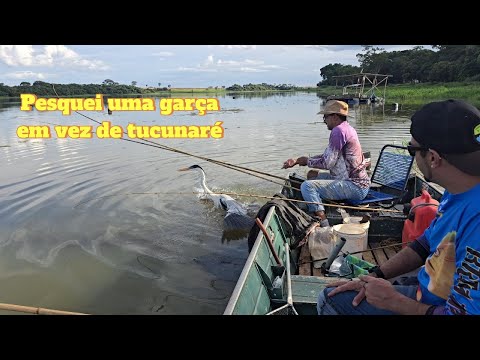 Era pra ser pescaria de tucunaré mais olha no que deu