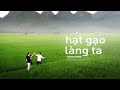 Chiến tranh và Hạt gạo