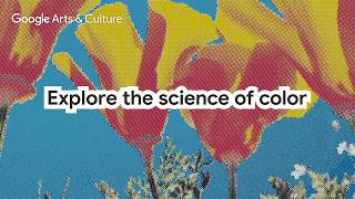 Explore the science of color | Google Arts & Culture