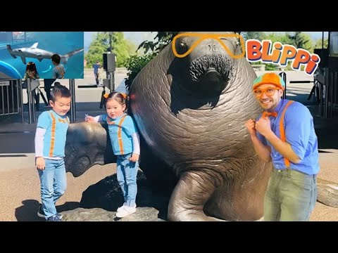 BLIPPI was Here at the Zoo COMPILATION | Learn Animals for Children