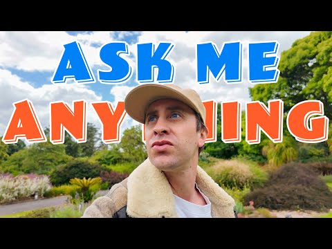 Let's Chat - Ask Me Anything!