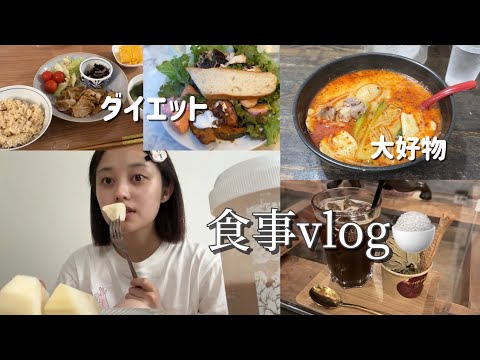 リアルに普段食べてるもの🍚【ダイエット】【食事vlog】