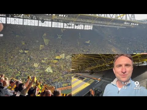How does Borussia Dortmund's Yellow Wall compare to FC Cincinnati's Bailey?