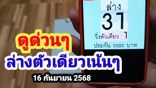 ดูด่วนๆล่างตัวเดียวเน้นๆ#16/9/68