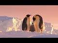 Challenges and Adaptations in Antarctica