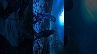 AVATAR - FIRE AND ASH || 4K #avatar #avatarfireandash #avatarworld #avatarthewayofwater