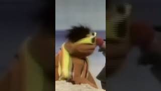 Mystery at the Beach with Bert & Ernie #sesamestreet