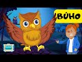 Owls: Hunting, Hearing, and Characteristics