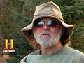 Marten Trapping Techniques and Insights