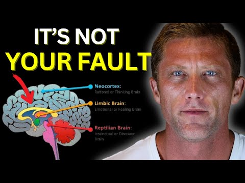 Your Childhood Controls The Simulation (how to fix it)...
